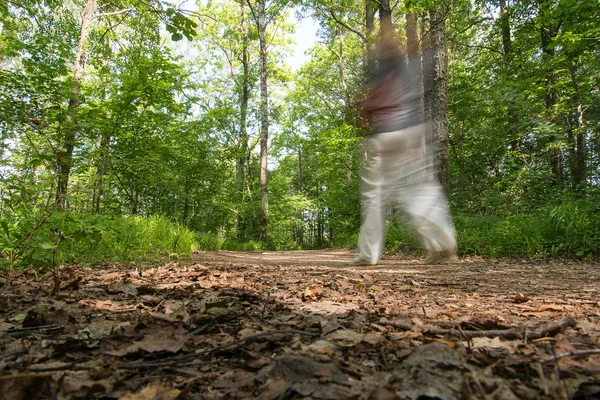 Walker in bos. — Stockfoto