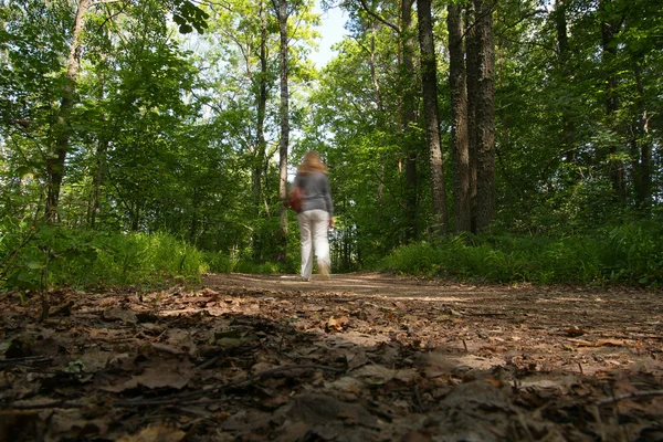 Walker in forest. — Stock Photo, Image