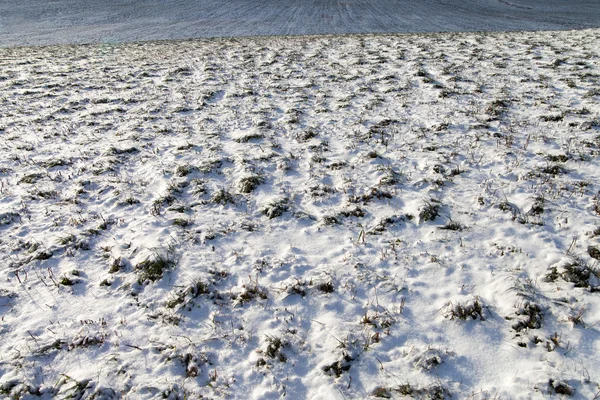 Campo cubierto de nieve . — Foto de Stock