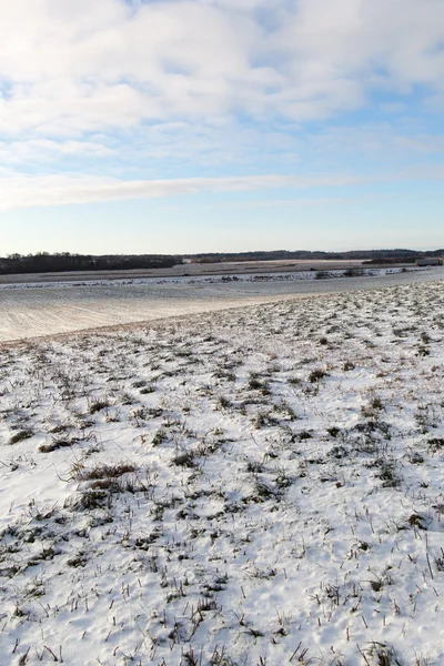 Snowy field. — Stock Photo, Image