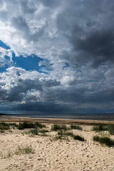 Baltic coast. — Stock Photo, Image