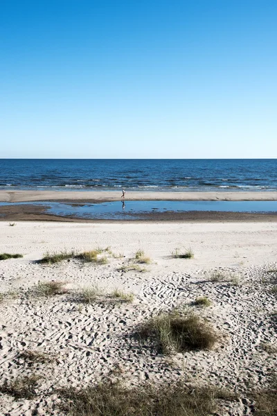 Costa do mar Báltico . — Fotografia de Stock