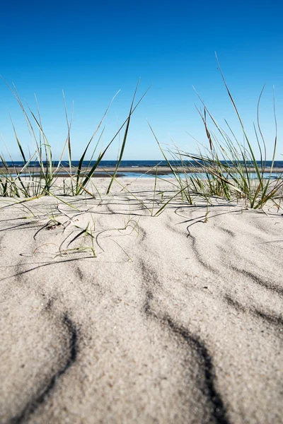 Costa del Mar Báltico . — Foto de Stock