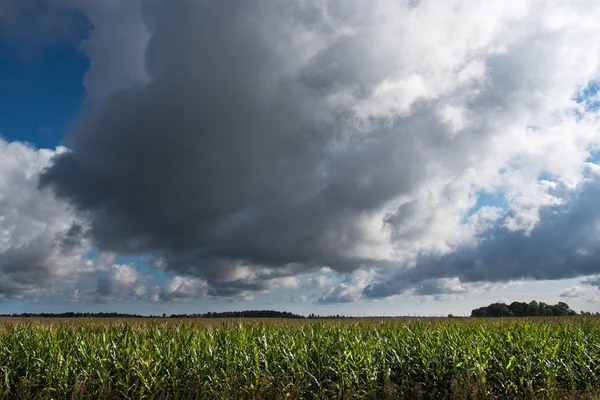 Hinweise am Himmel. — Stockfoto