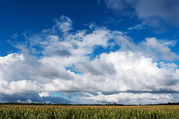 Cluds dans le ciel . — Photo