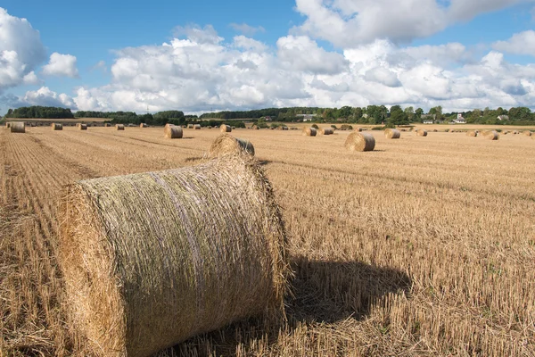 Bales of hay. — Stock Photo, Image