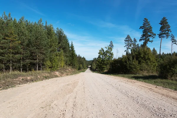 Skogsväg. — Stockfoto