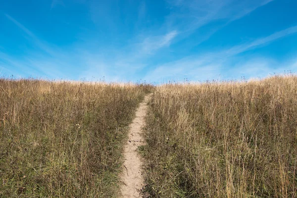 Väg. — Stockfoto