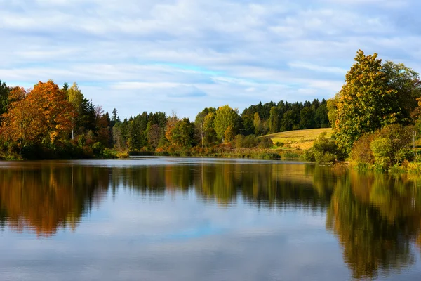 Höstfärger. — Stockfoto