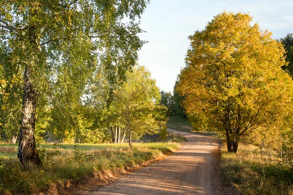 Rural road. — Stock Photo, Image