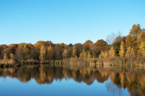 Autumn colors in still lake. — Stock Photo, Image