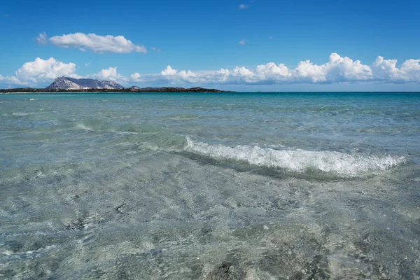 サルデーニャ海岸の海の中. — ストック写真