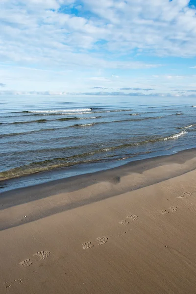 Calme en mer Baltique . — Photo