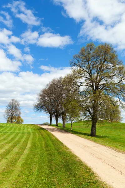 Lente in Letse platteland. — Stockfoto