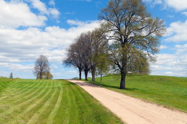 Primavera en el campo letón . —  Fotos de Stock