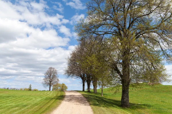 Spring in latvian countryside. Stock Picture