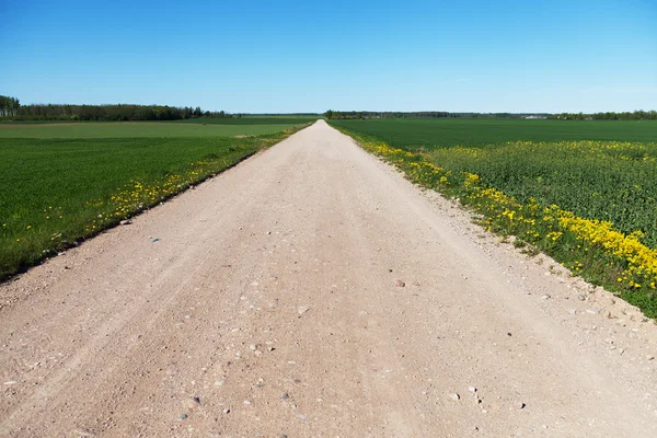 Düz kırsal yol. — Stok fotoğraf