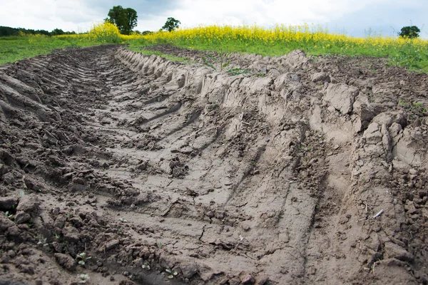 Pista in campo . — Foto Stock