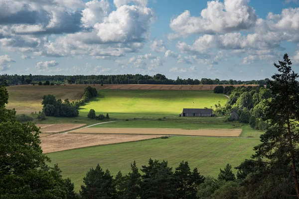 Lettiska sommaren lanscape. — Stockfoto