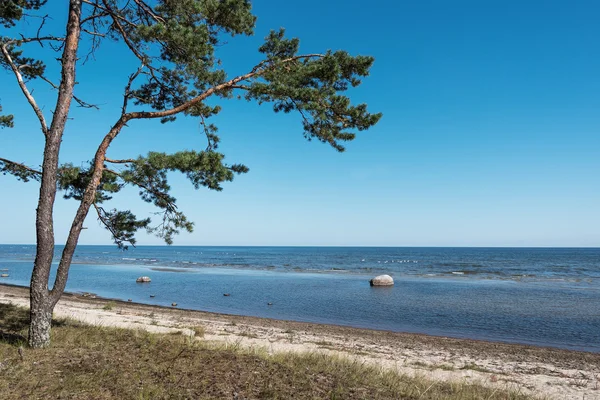 Modré Baltské moře. — Stock fotografie