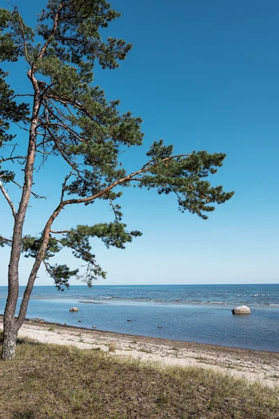 Mar Baltico blu . — Foto Stock