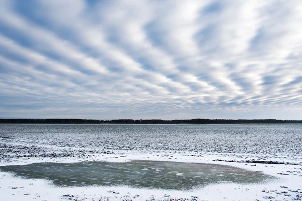 Kalter Wintertag. — Stockfoto