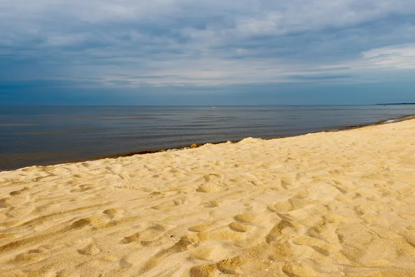 Sabbia baltica gialla . — Foto Stock