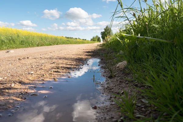 Pozzanghera su strada di campagna . — Foto Stock