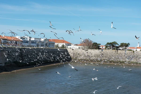 Příkop města Peniche, Portugalsko. — Stock fotografie