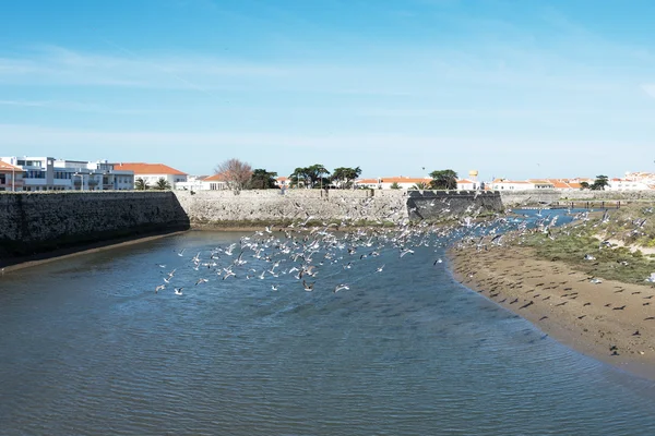 Fosso da cidade de Peniche, Portugal . — Fotografia de Stock