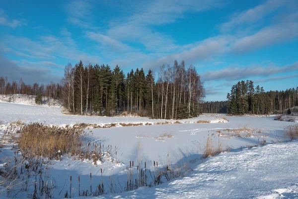 Paysage d'hiver, Lettonie . — Photo