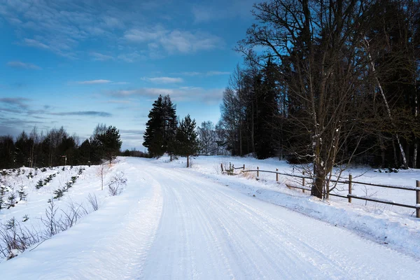 Winterlandschap, Letland. — Stockfoto