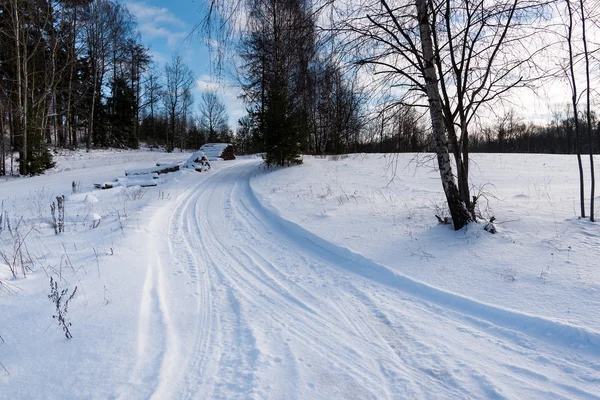 Paysage d'hiver, Lettonie . — Photo