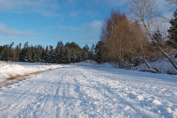 Paesaggio invernale, Lettonia . — Foto Stock