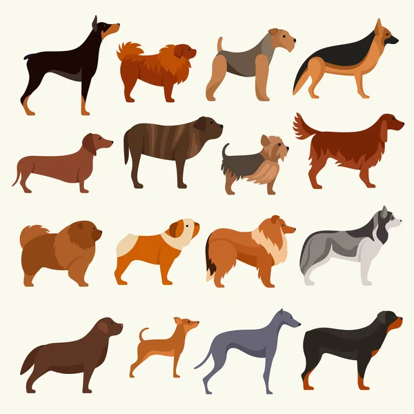 Dog breeds icons — Stock Vector