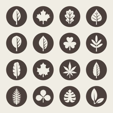 yaprak Icon set