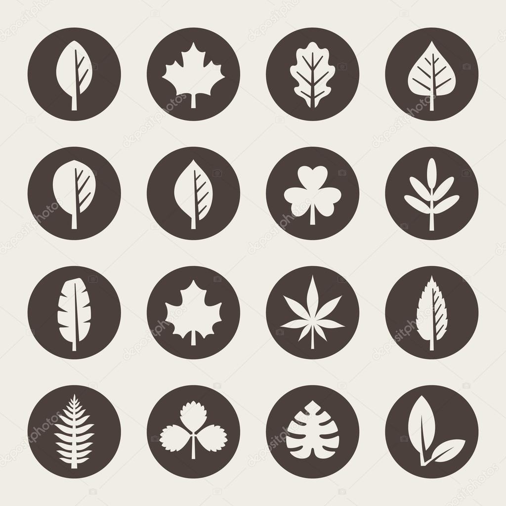 Leaf icon set
