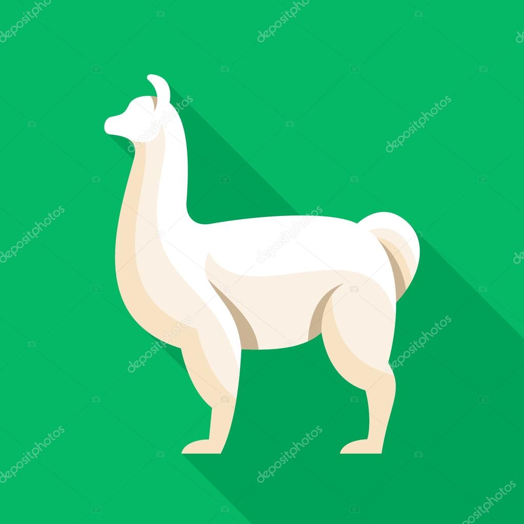 Llama flat icon