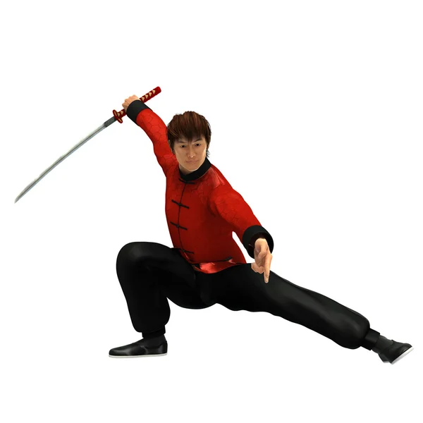 Kung-Fu-Krieger — Stockfoto