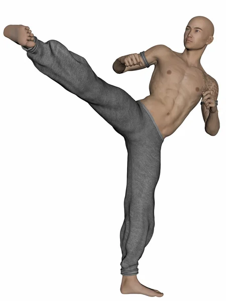 Kung Fu Monk — Stock Photo, Image