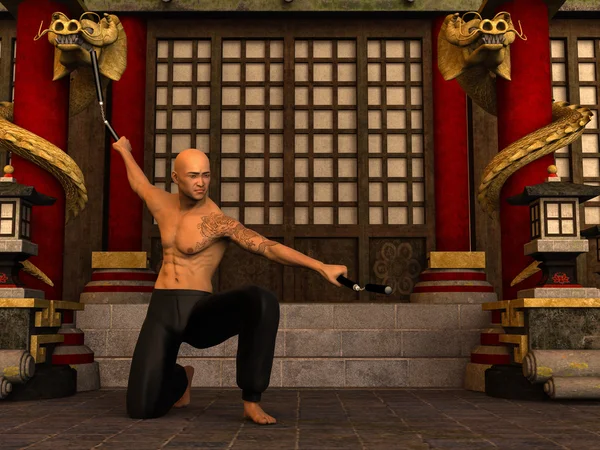 Kung Fu warrior — Stockfoto