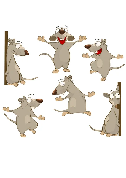 Reihe von niedlichen Cartoon-Ratten — Stockvektor