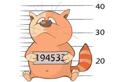 Suç sevimli kedi.