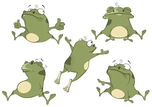 Jolie grenouille verte . — Image vectorielle