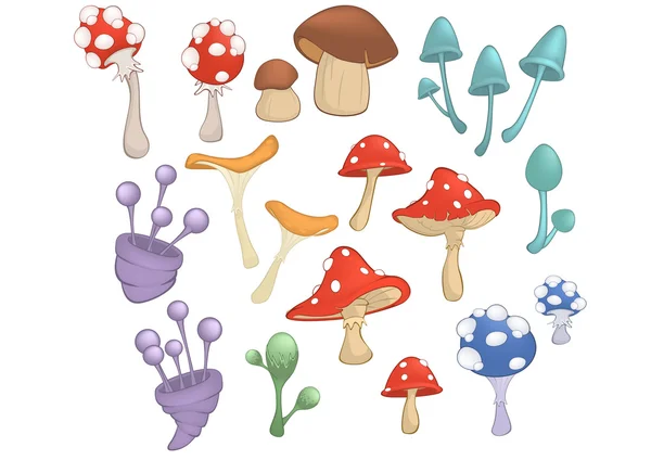 Different Mushrooms set — Stock Vector