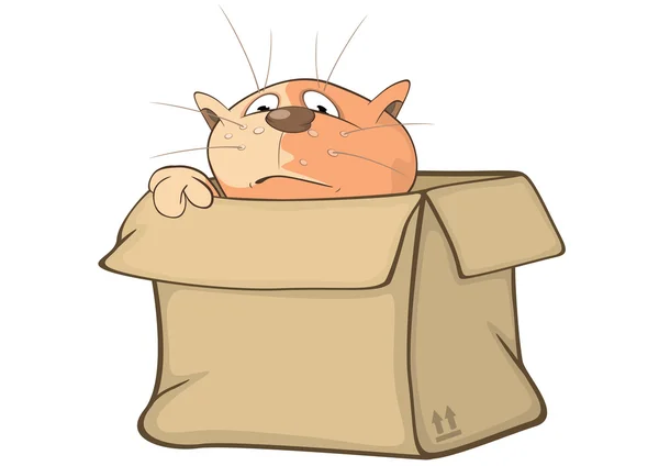 Gato lindo y una caja — Vector de stock