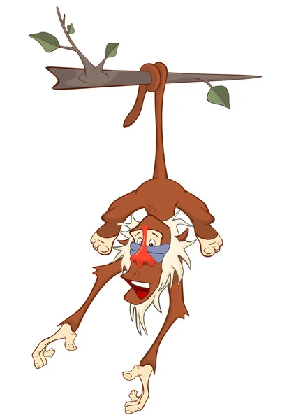 Macaco bonito pendurado no ramo — Vetor de Stock