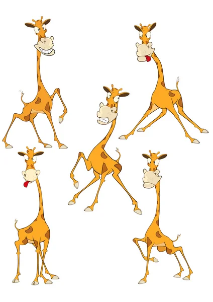 Conjunto de girafas bonitos personagem — Vetor de Stock