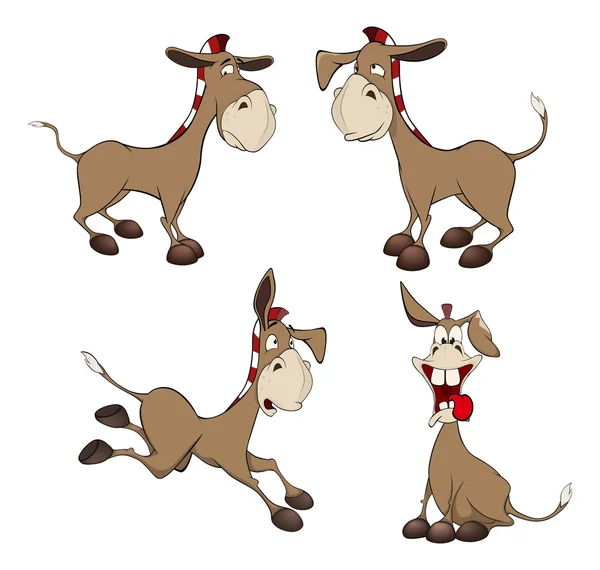 Set of burros — Stock Vector