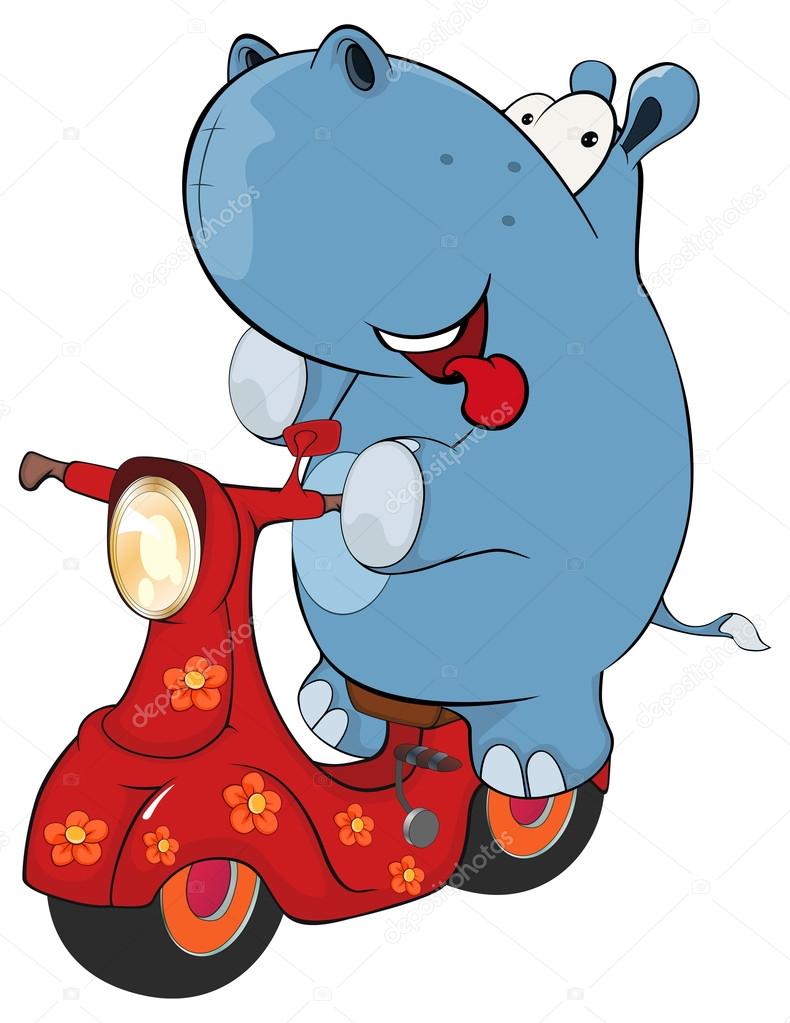 Hippopotamus on scooter.